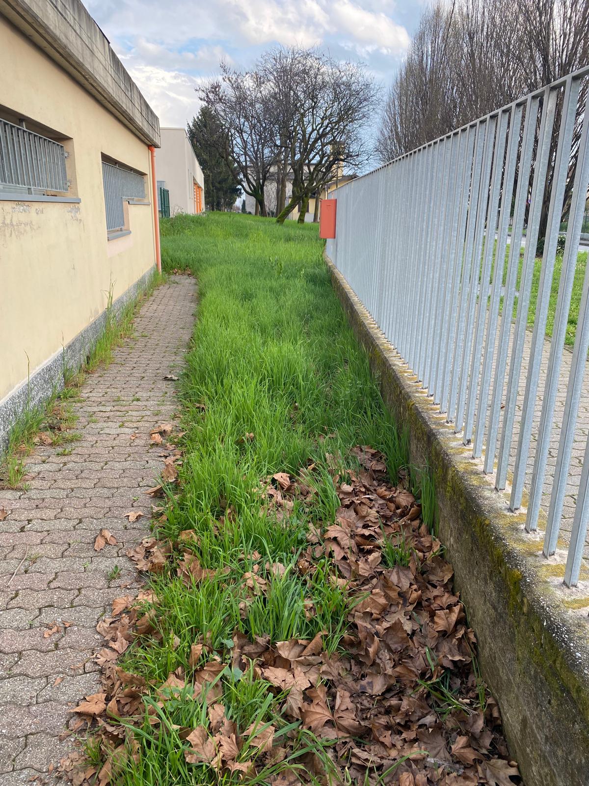 Immagine della segnalazione